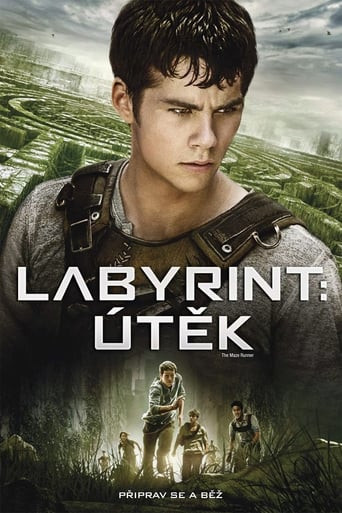 Labyrint: Útěk (2014)