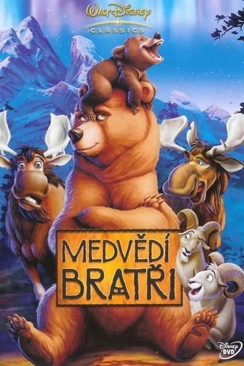 Medvědí bratři (2003)