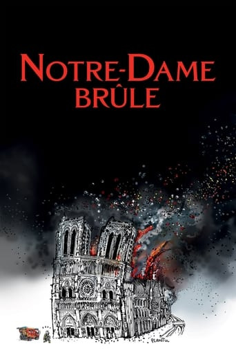 Notre-Dame v plamenech (2022)